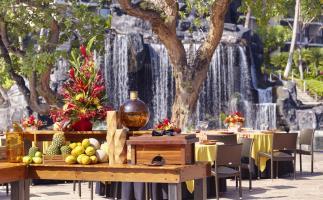 Hotel Hilton Waikoloa Village