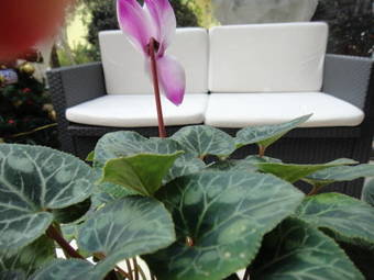 Agroturismo Residenza Cieloterra