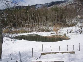 Agroturismo Agriturismo Vezzano