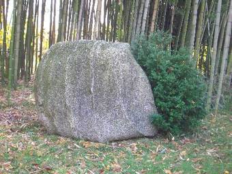 Agroturismo Agriturismo Radam�z