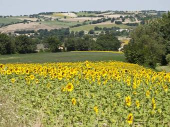 Apartamento B&B Da Mara