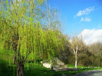 Saturnia Holiday Apartment