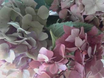 Balneum Boutique Hotel & B&B