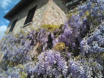 Hotel La Loggia - Villa Gloria