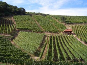 Bed & Breakfast Chambres D'h�tes Ruhlmann