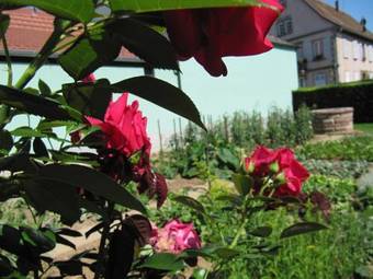 Bed & Breakfast La Ferme De Louise