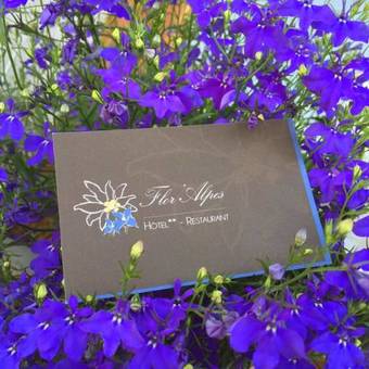 Hotel H�tel Flor'alpes