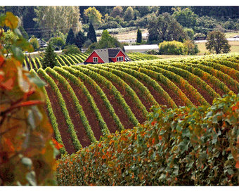 Holiday Inn Hotel & Suites Santa Maria