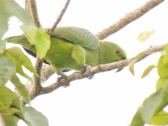 Villa Dream Away Trujillo Beach Eco Resort #3