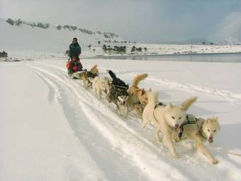 Hotel Nitra-caviahue