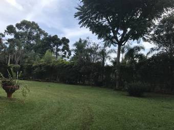 Lodge Caba�as Katy-arte