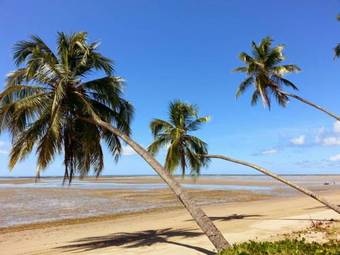 Hostal Pousada Samba Pa Ti