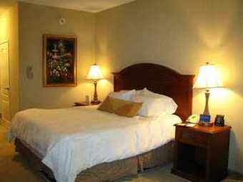 Hotel Hilton Garden Inn Effingham