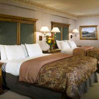 Hotel Great Divide Lodge