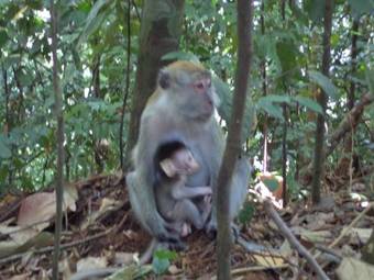 Hostal Ida Guest House & Restaurant