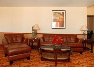 Hotel Comfort Suites Near Raymond James Stadium