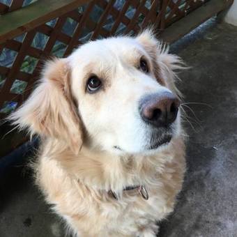 Hostal Heartland House - Female Only & Couple Only