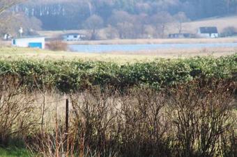 Apartamento Pension Zum Neuensiener See