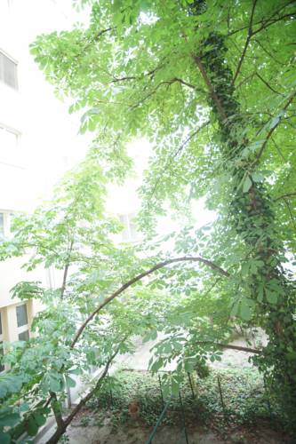 Apartamento Down Town Vienna