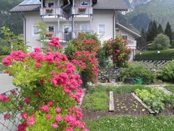 Apartamentos Appartementhaus Kraker