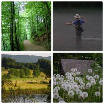 Hostal Guest House ?obi?