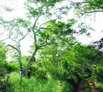 Hotel Ghost Mountain Inn