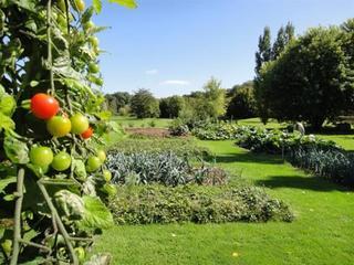 Hotel Domaine De L'arbrelle