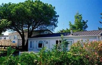 M Vacances - Le Kangourou