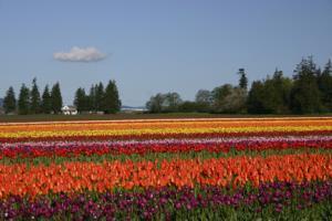 Holiday Inn Express Hotel & Suites Burlington