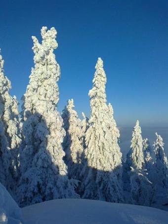 Koli Freetime Cottages