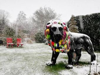 Bed & Breakfast Les Bulles Dor�es Art & Gallery