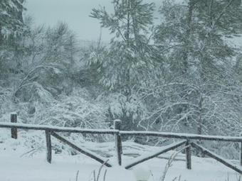 Hostal Archontariki Guesthouse