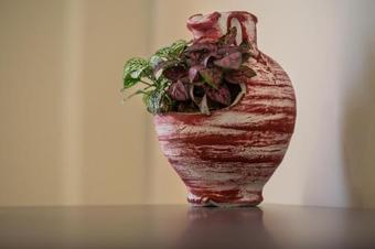 Bed & Breakfast Pegasus Rooms