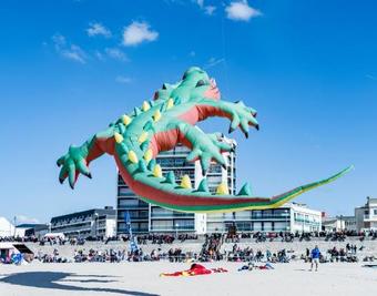 Apartamento Appartement "mer" - 50m Front De Mer