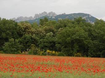 Bed & Breakfast L'annexe Du Ch�teau