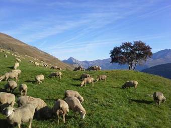 Hotel H�tel Du Cr�t Rond