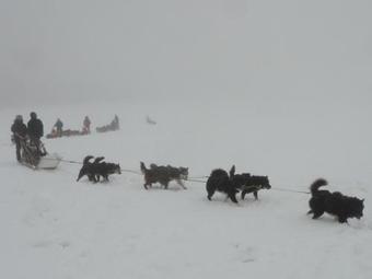 Bed & Breakfast Domaine Du Mas Du Taillet