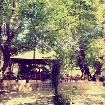 Aparthotel Hotel Zachos