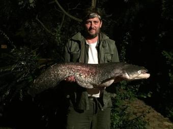 Belv�rosi Apartmanh�z