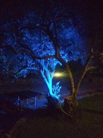 Apartamento Rent Rooms Alexiou