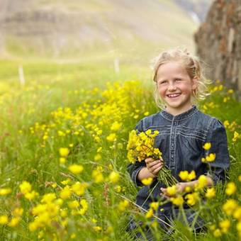 Hotel H�tel Edda �k� Laugarvatn