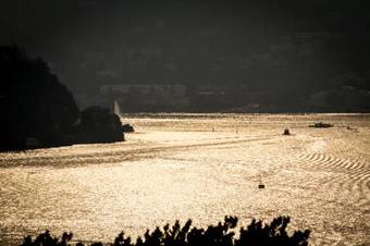 Le Casette Apartments