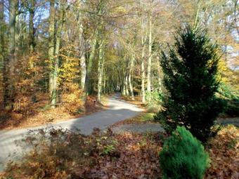 Fletcher Hotel-restaurant Paasberg