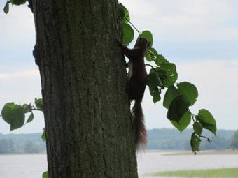 Hostal Pensjonat Vertigo Narie