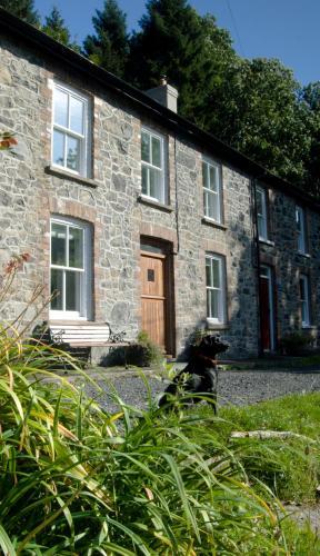 Bronfelin & Troed-y-rhiw Holiday Cottage