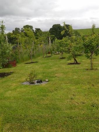 Agroturismo Ornum Cottage