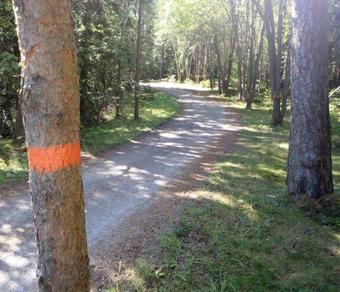 Sure Hotel By Best Western Vilsta Sporthotell