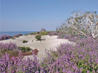 Holiday Home N�r Gangvide St�nga III