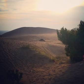 Bed & Breakfast Flower Pension