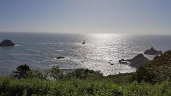 Lodge Emerald Forest Cabins